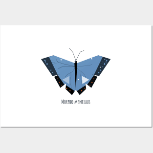 Morpho menelaus Blue butterfly Posters and Art